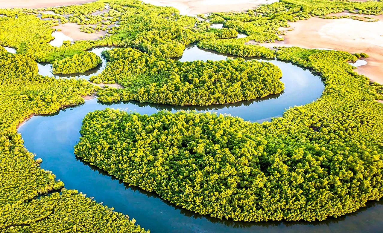 Delta du Saloum