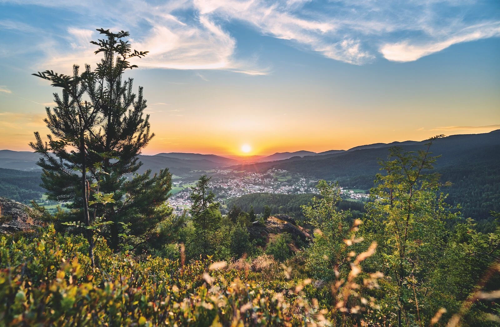 Bavarian Forest