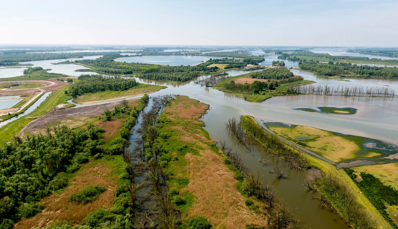 De Biesbosch