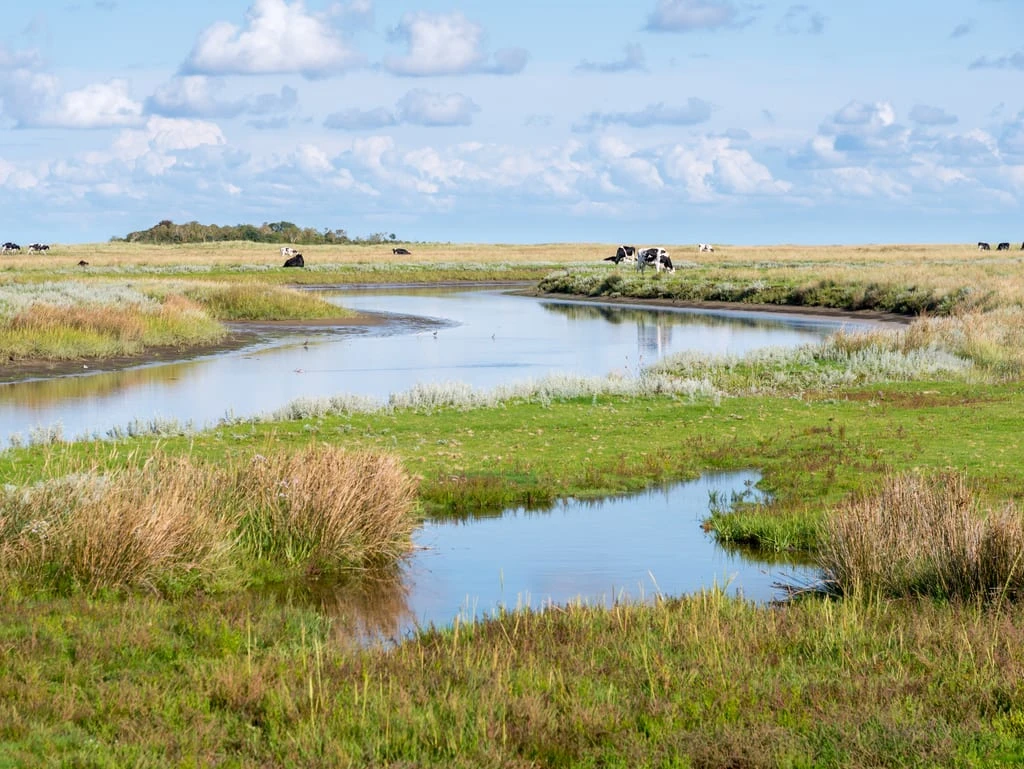 Schiermonnikoog