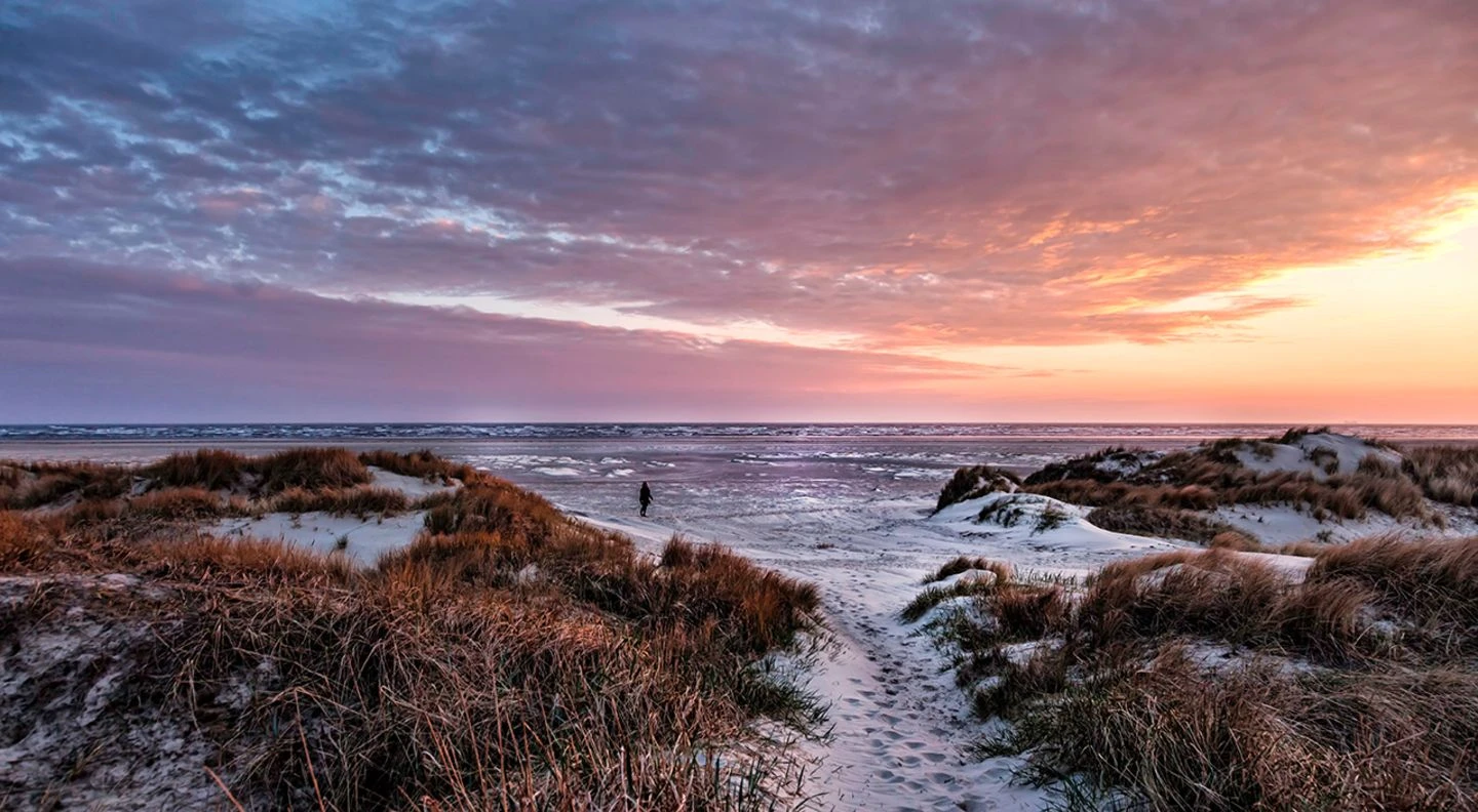 Vadehavet