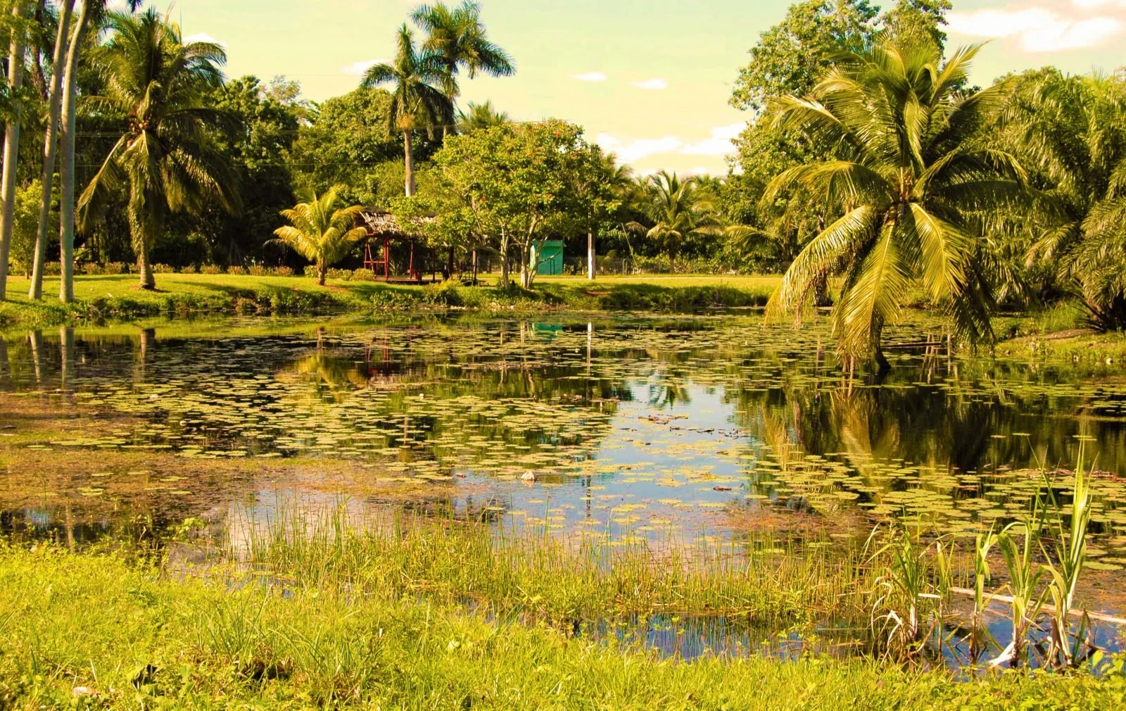 Ciénaga de Zapata