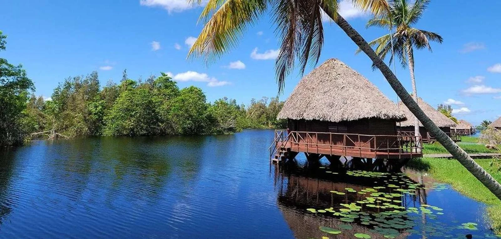 Ciénaga de Zapata