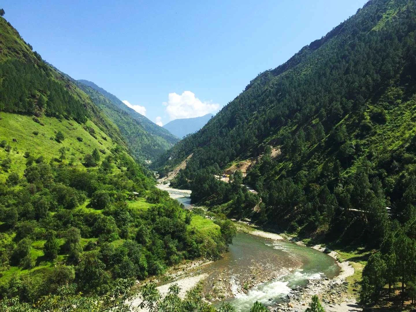 Great Himalayan