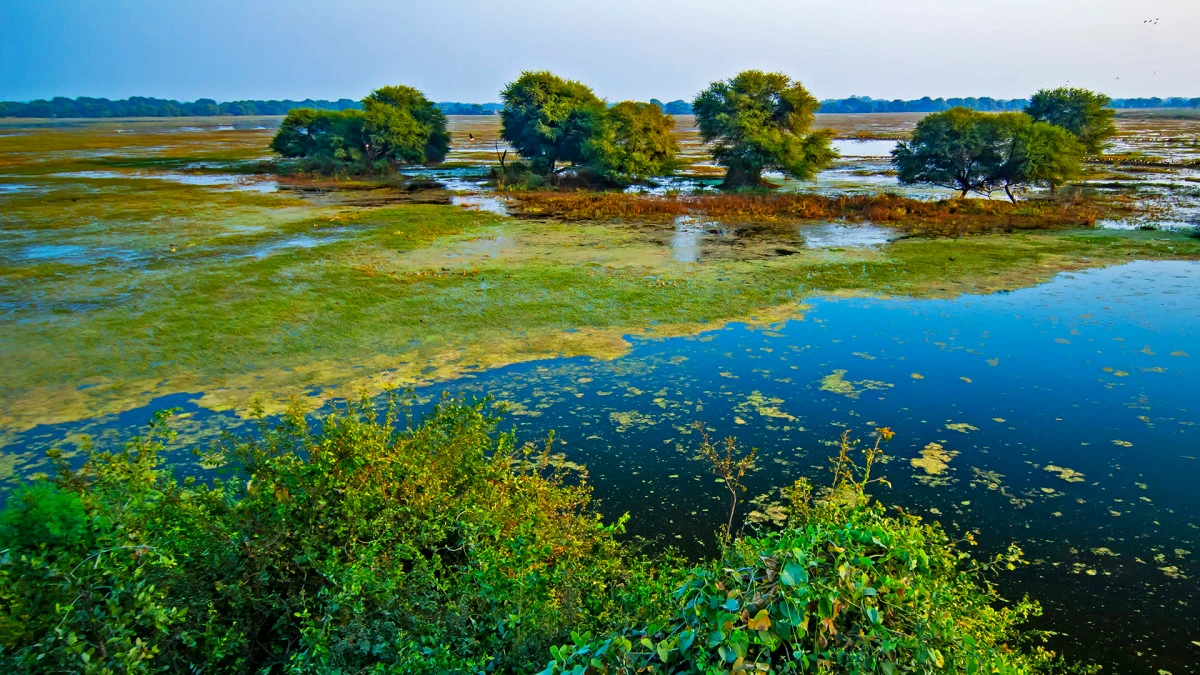 Keoladeo
