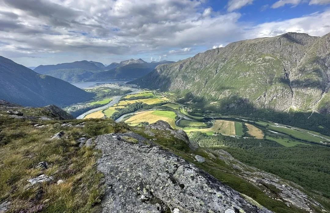 Reinheimen