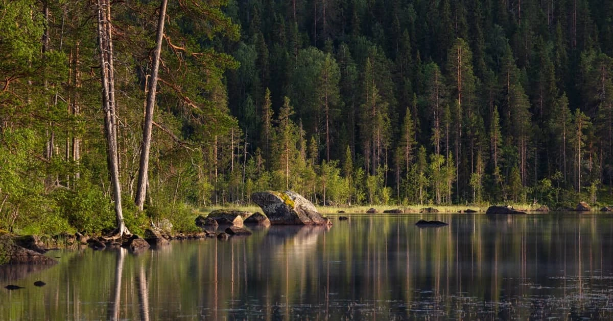 Björnlandet