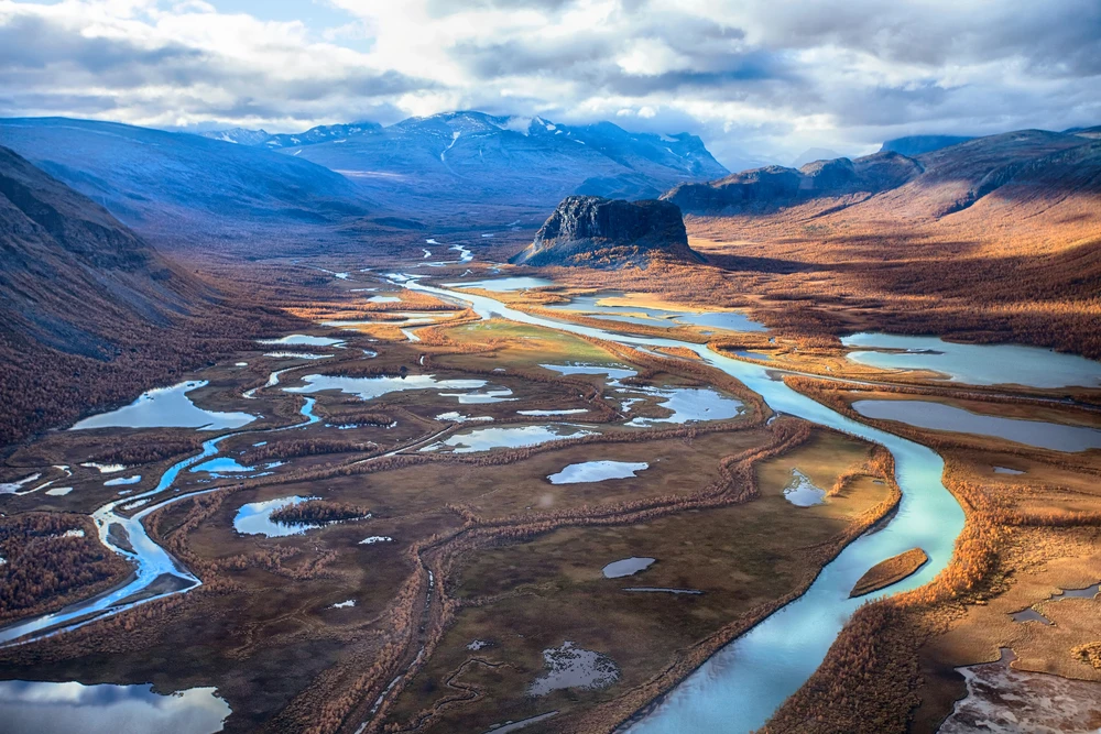 Sarek