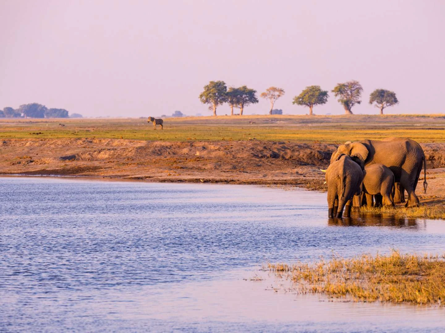 Chobe