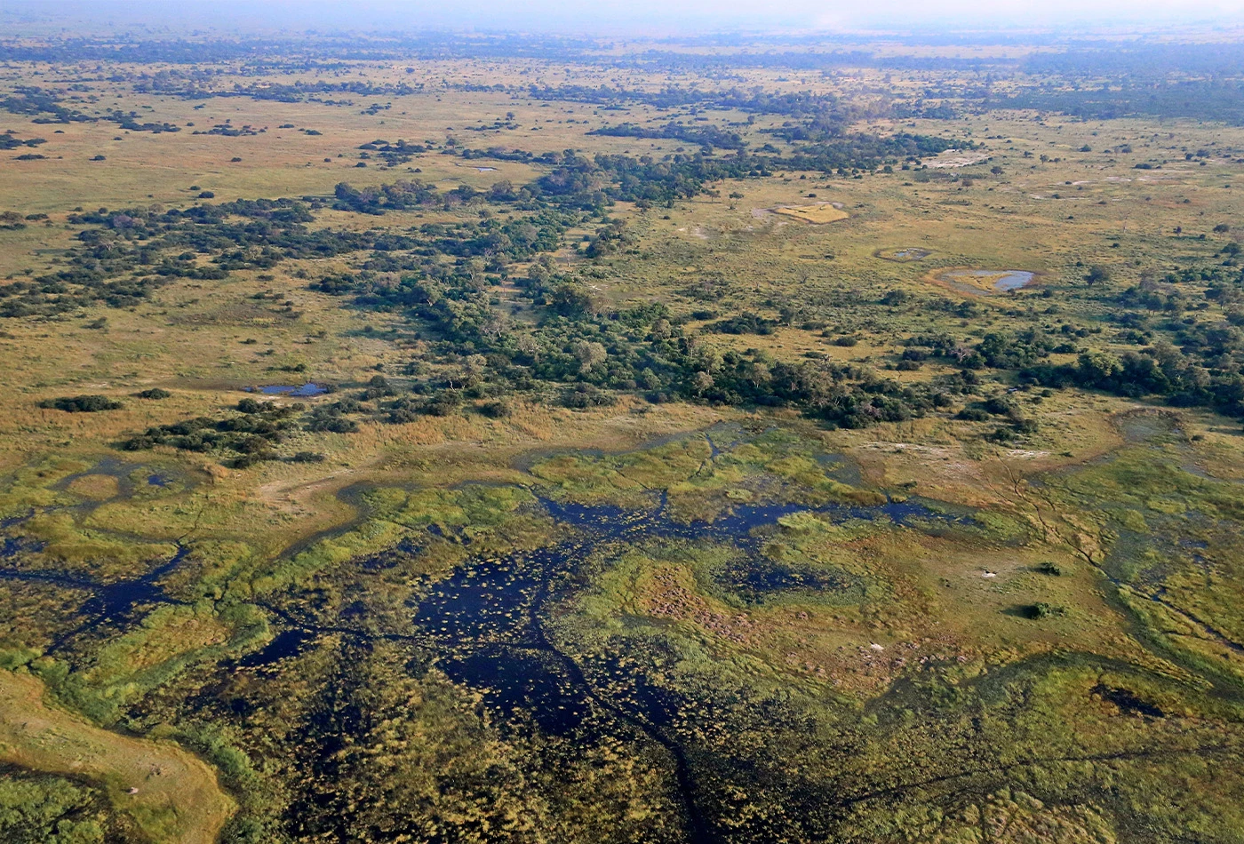 Nkasa Rupara