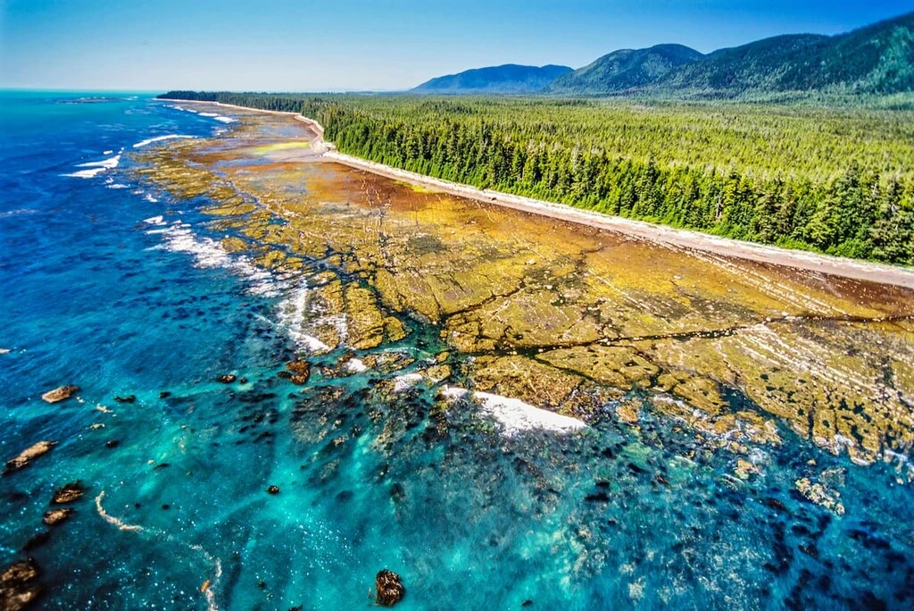 Mᑫuqʷin/Brooks Peninsula Park