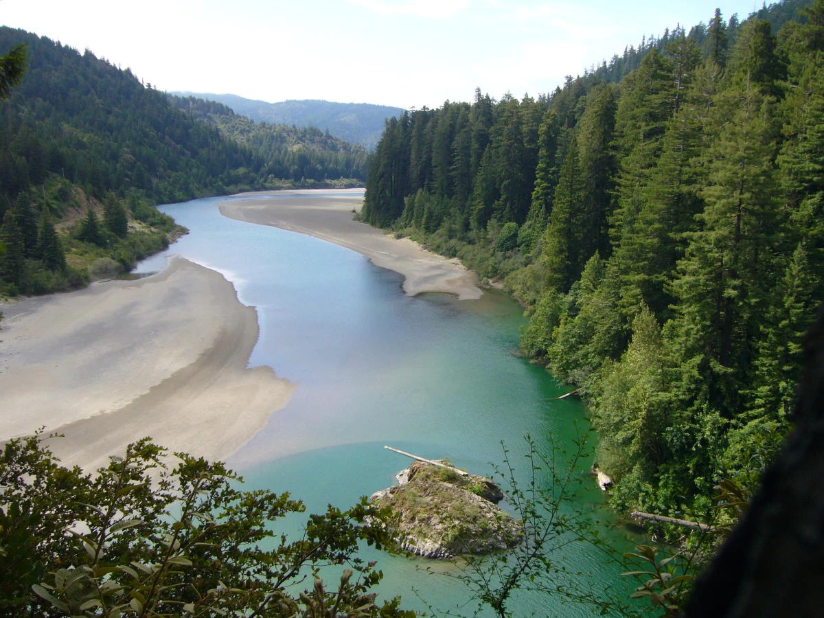Humboldt Redwoods