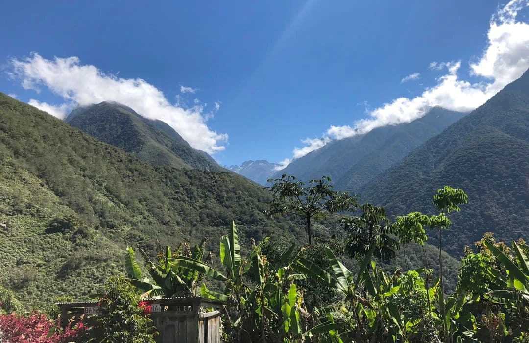 Cotapata