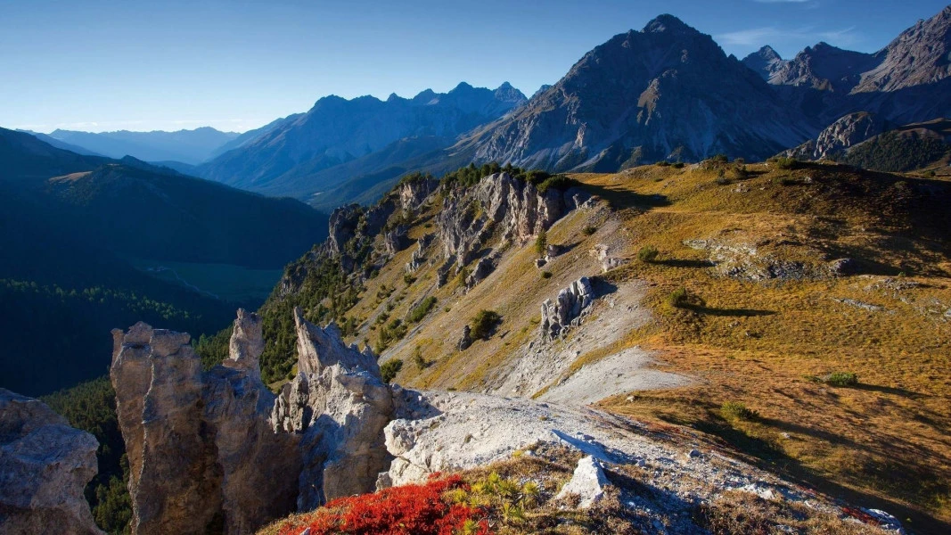 Swiss