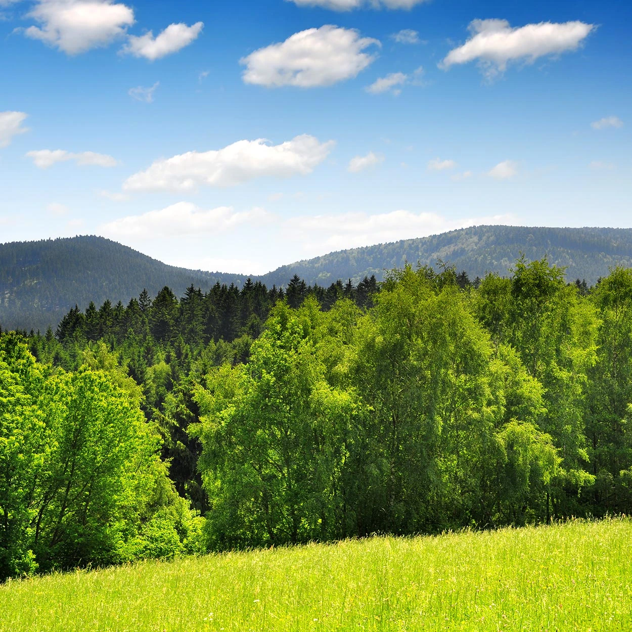 Šumava