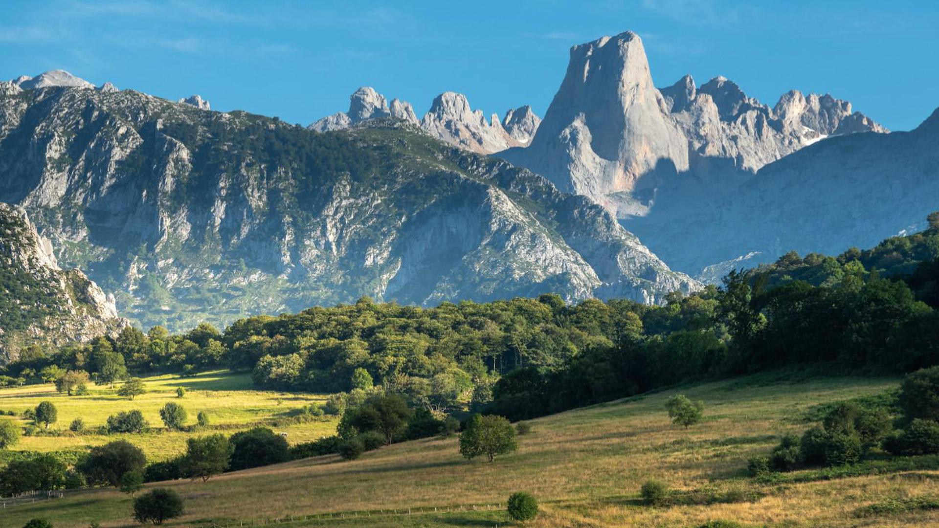 Picos de Europa