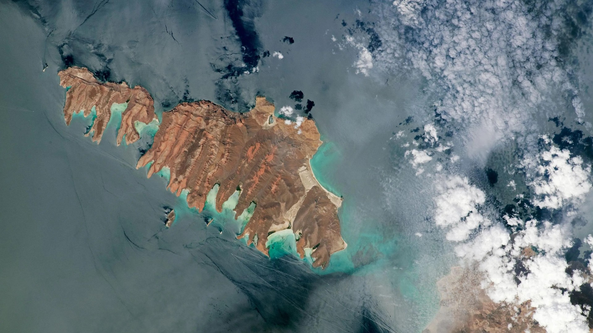 Zona Marina del Archipiélago de Espíritu Santo